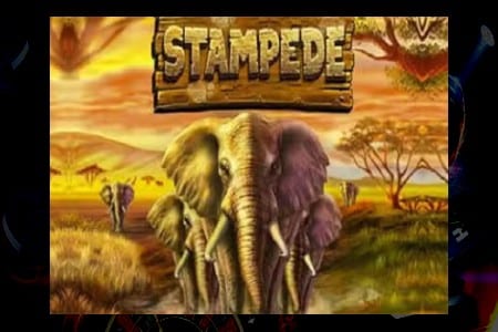 Elephant Stampede: Les Meilleurs Trucs pour Gagner Gros