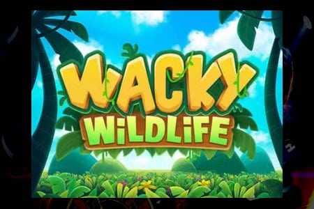 Explorez les Animaux Insensés: Plongée dans le Monde de Wacky Wildlife Slot