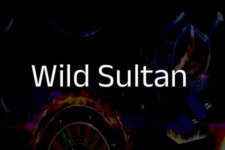 Les Avis des Joueurs sur Wild Sultan : Ce Qu’Ils En Pensent Vraiment